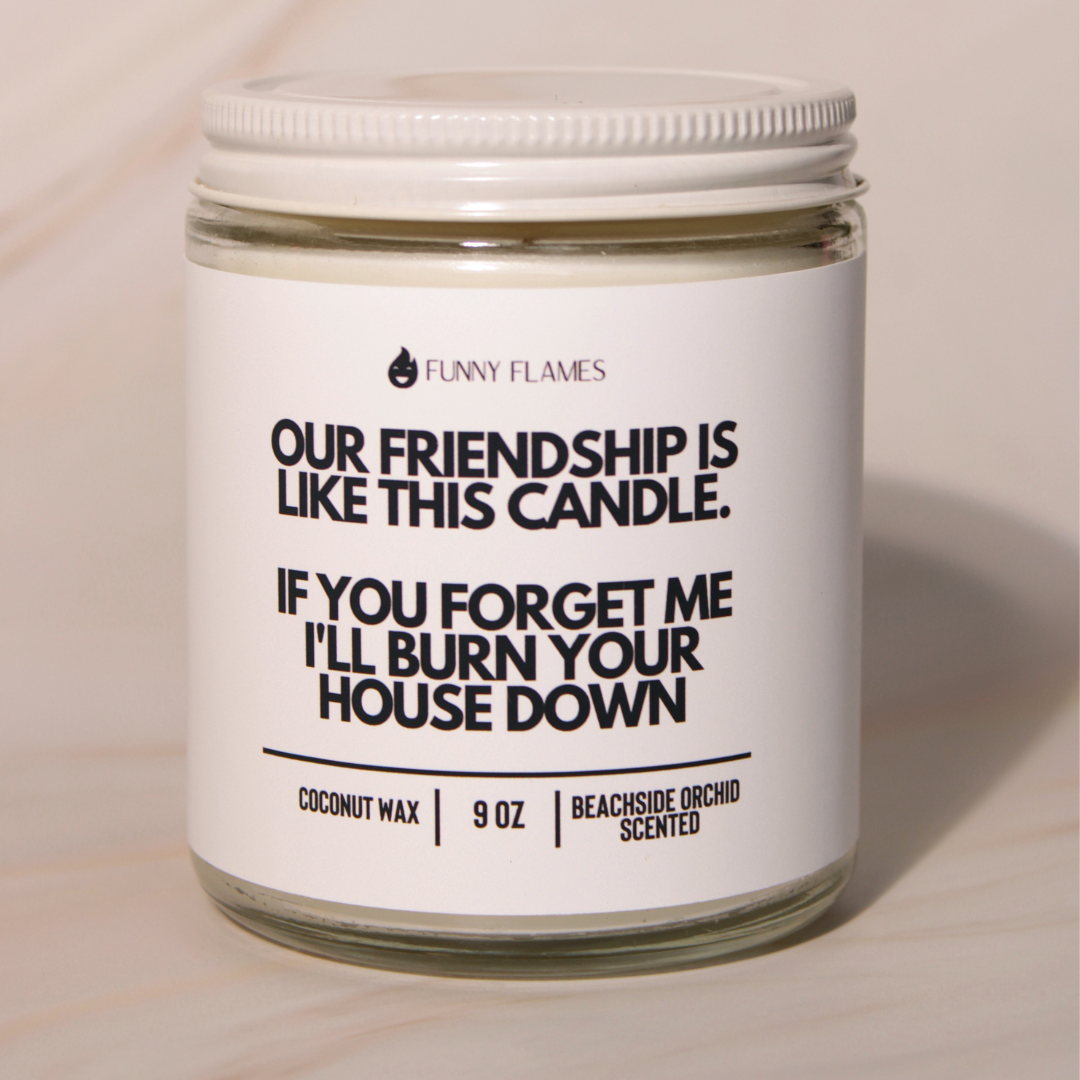 Our Friendship Is Like This Candle if you forget about me i'll burn your house down